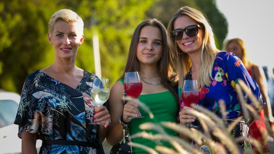 Woodstock a balatoni hegyoldalban, pezsgővel, gourmet közönséggel - Jön a Paloznaki Jazzpiknik