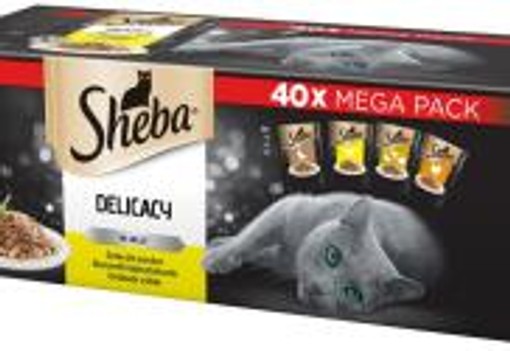 Öt szívet melengető ajándék, aminek minden kisállat örül