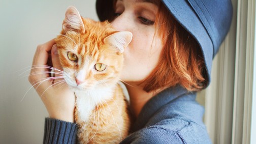 Ezt jelentheti valójában, ha a macskád túl sokat nyávog: szakértő szerint ekkor kell betegségre gyanakodni