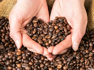 Ez történne a testeddel, ha kávézás helyett elrágcsálnál egy kávébabot