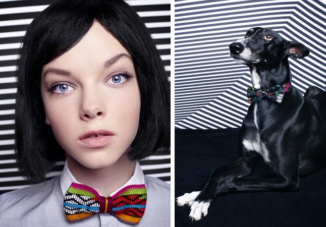 Csokornyakkendő neked!