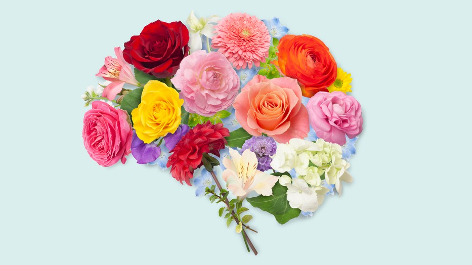 Te tudod, mi utal magas intelligenciára?