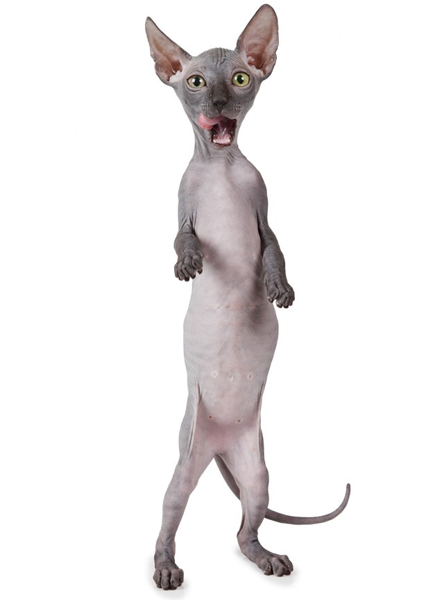 A maszturbálás tényleg hajhullást okoz?