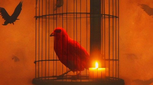 Csak te meg ő: új szerelmes dal nektek címezve a The Carbonfools zenekartól