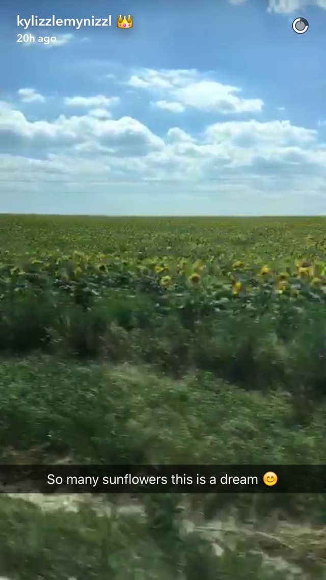 Balatoni stég, napraforgók - Kylie Jenner ezt látta Magyarországból
