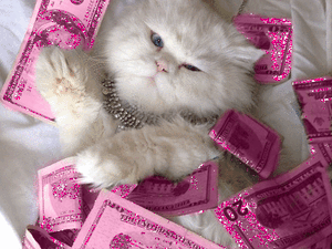 Elégedett vagy a fizetéseddel? Nyugi, mások sem azok