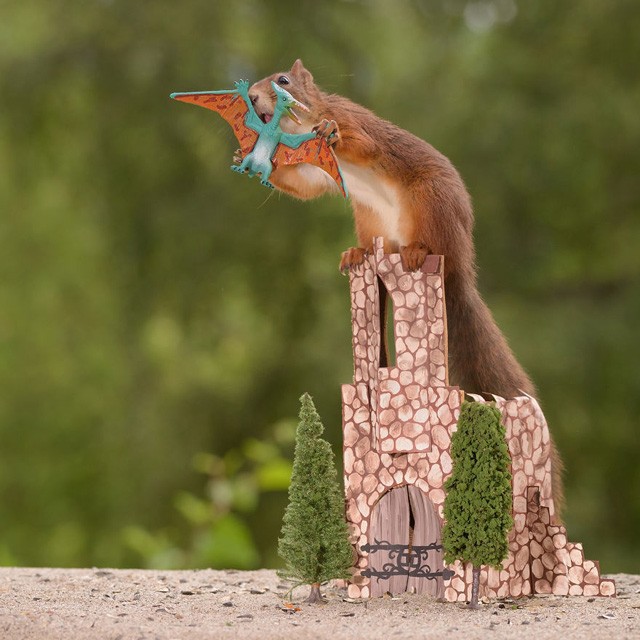 Így lett ebből a mókusból a Trónok harca sztárja!