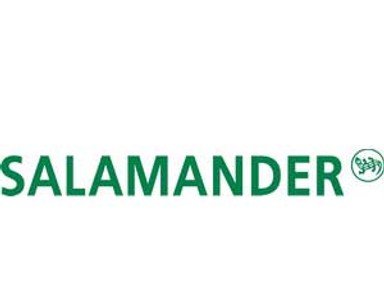 Salamander
