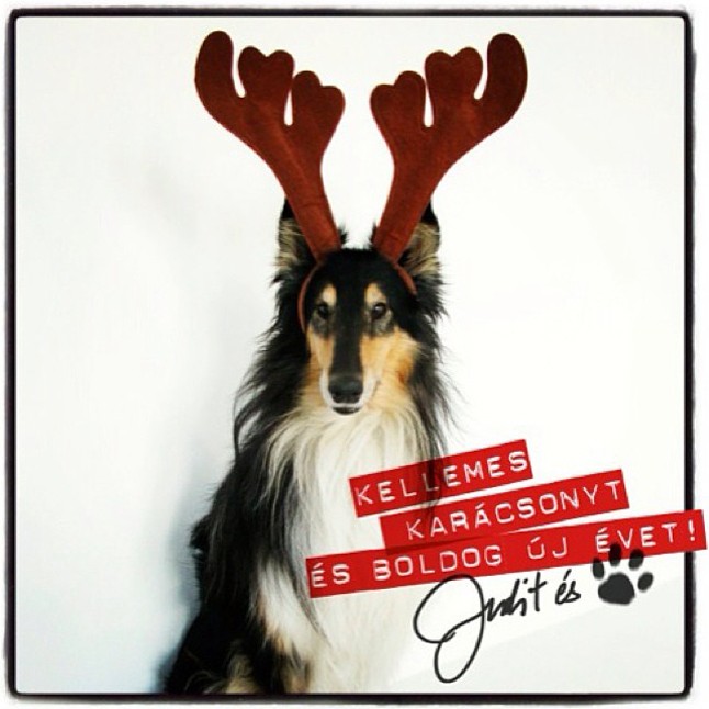 Vezető divatszerkesztőnk, Pintér Judit és a cuki Borika csodaszép ünnepeket kíván nektek!