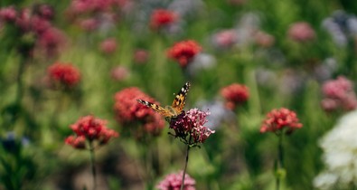 Csodás helyen, egy városi oázisban próbálhattuk ki a Samsung legújabb okos eszközeit