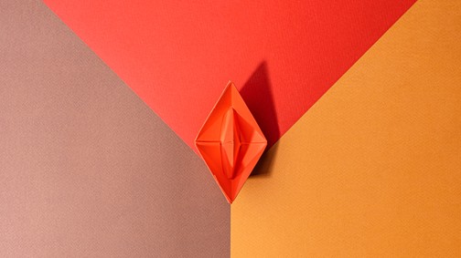 10 tény, amit mindenkinek tudnia kell a hüvelyről