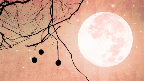 Eljött az idő, hogy feltárjuk a rejtett energiákat: ezt tartogatja számunkra a Skorpió Újhold