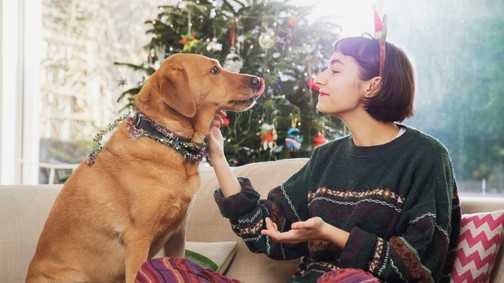 Minden idők legerősebb karácsonyi reklámjait nehéz megállni könnyek nélkül