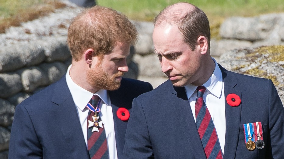 Diana hercegné sosem hagyta volna, hogy Harry herceg és Vilmos herceg eltávolodjon egymástól