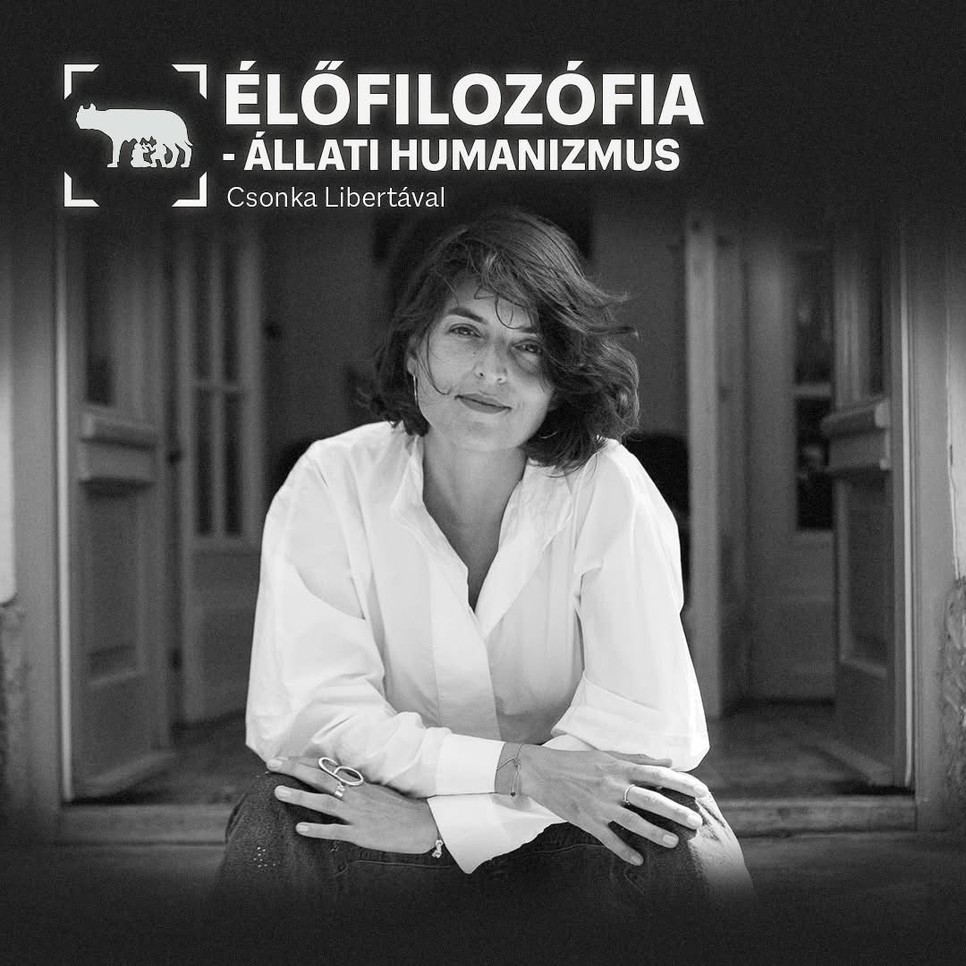 Valljuk be, nem így képzelünk elsőre egy filozófust