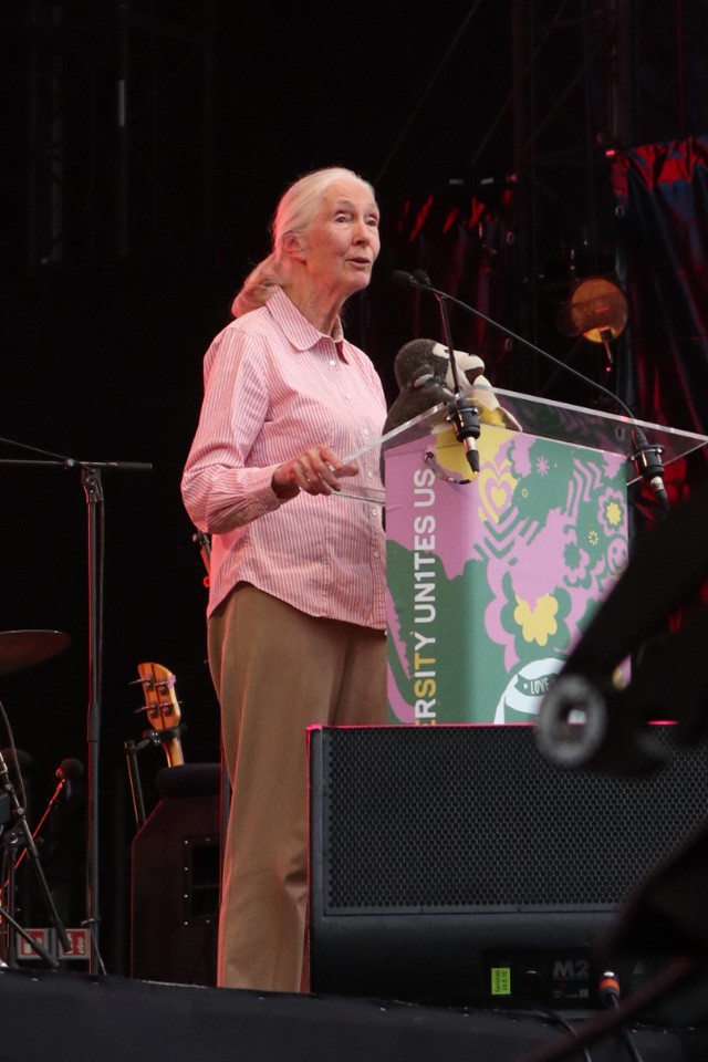 Jane Goodall Sziget