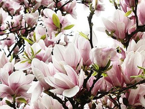 Illatozz a Baba új finom illatában egész nap