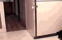 7 tipp, hogy rendezett legyen a hűtőszekrényed