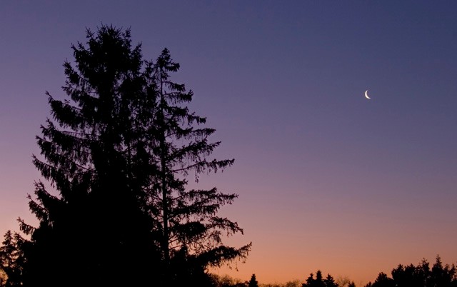 Újhold: remény helyett esélyt hoz - 5 mód, ahogy befolyásol az Újhold most