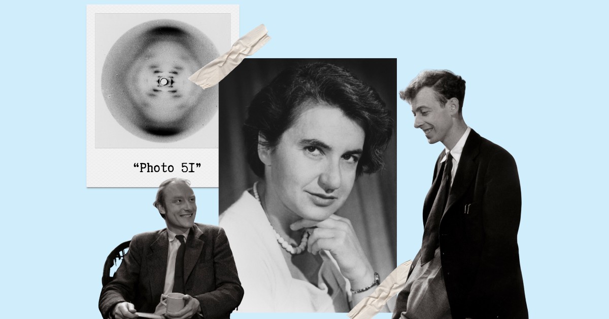 Rosalind Franklin felfedezése a legjobb példa arra, milyen, amikor a férfiak kitörlik a nőket a történelemből