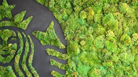 A Starbucks etikusan előállított kávét kínál, edukálja a fogyasztókat a környazettudatosság területén, és együttműködik a fenntarthatóságban élen járó vállalkozásokkal, szervezetekkel