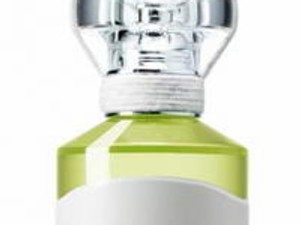 A rejtőzködő zseni illata