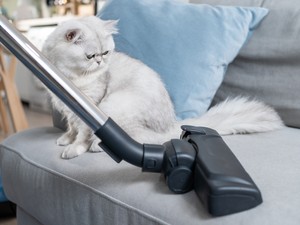 12 hiba, amit konyhai takarítás közben vétesz, és a mikrobiológusok szerint sürgősen le kell velük állnod