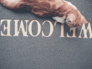 Le akarod nyűgőzni a vendégeket? Íme a legviccesebb lábtörlők