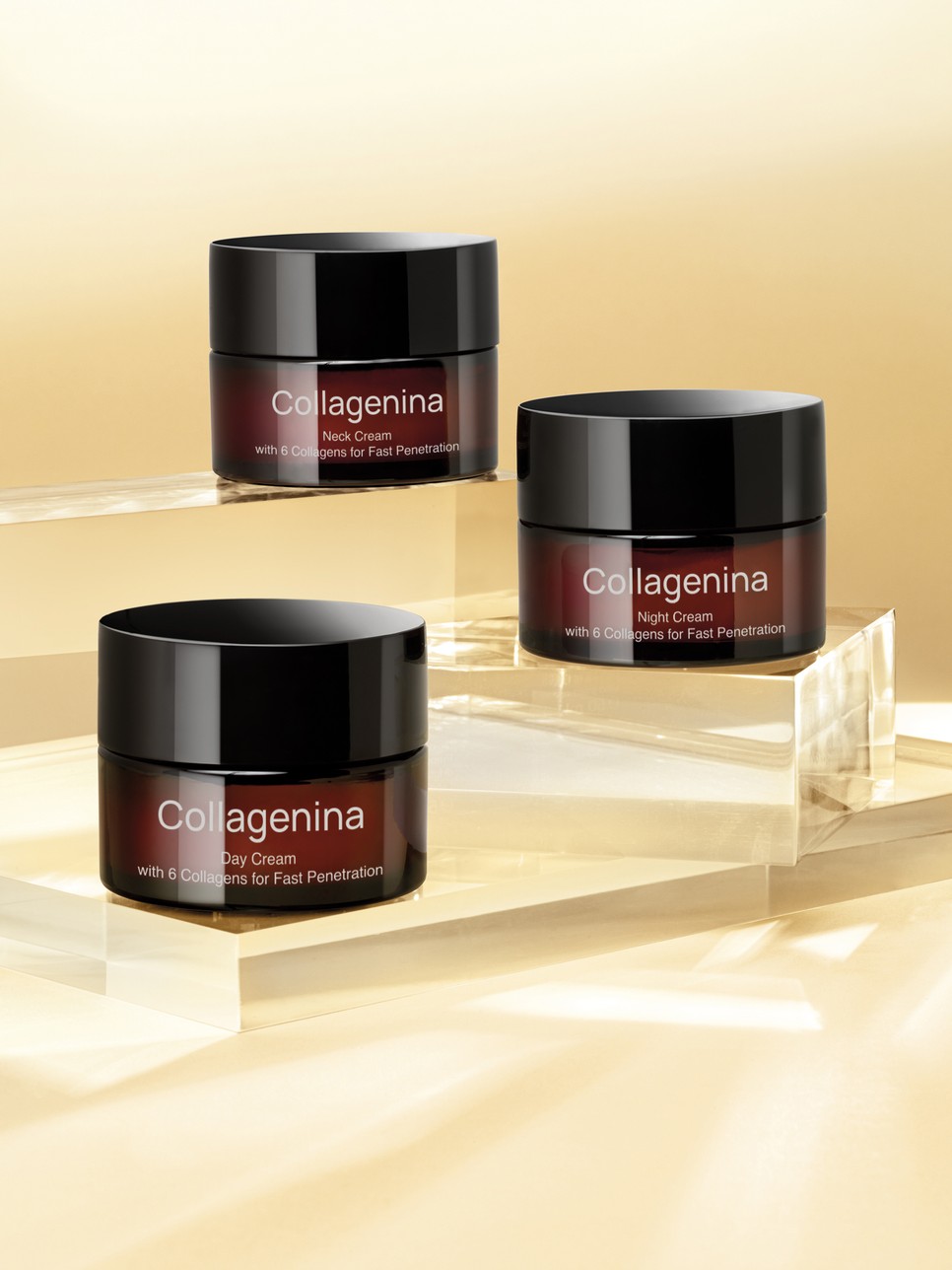 COLLAGENINA-V2 12