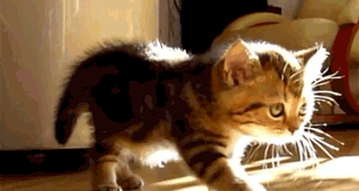 Ma fontos, hogy biztonságban érezd magad - Egymondatos horoszkóp - május 5. szombat