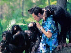 Íme a világ legrosszabb munkái: légy hálás, ha a tiéd nincs a listán