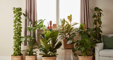 9 hétköznapi tárgy, ami titokban balszerencsét hozhat