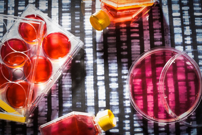 Daganatos sejtek nap, mint nap