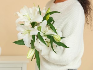 Jó, ha tudod: Ez a 10 virág nagyon negatív jelentéssel bír, messziről kerüld el őket