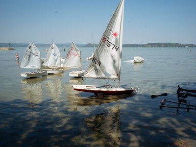 A Balaton nem haldoklik, hanem alkalmazkodik: szakemberek magyarázzák, hogyan reagált a tó a nyári hőségre