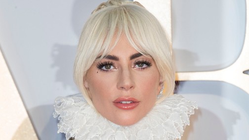 Leesik az állad Lady Gaga ruhájától