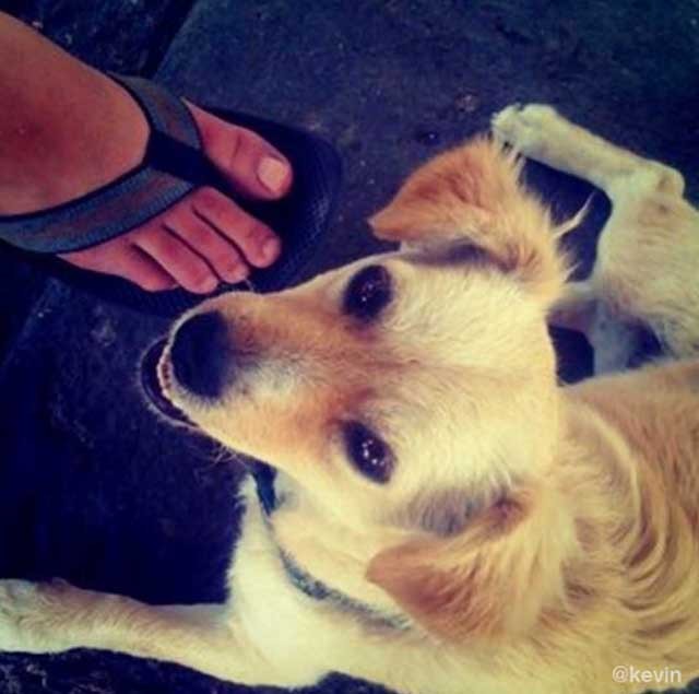 Kevin Systrom Instagram