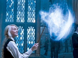 Személyiségteszt: Most kiderül, milyen állat lenne a patrónusod a Harry Potter világában