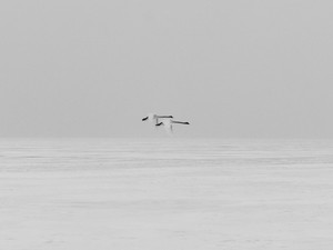 Magyar tájak, ahogy még sosem láttad őket: Ismerd meg Herczeg Kinga fotóst