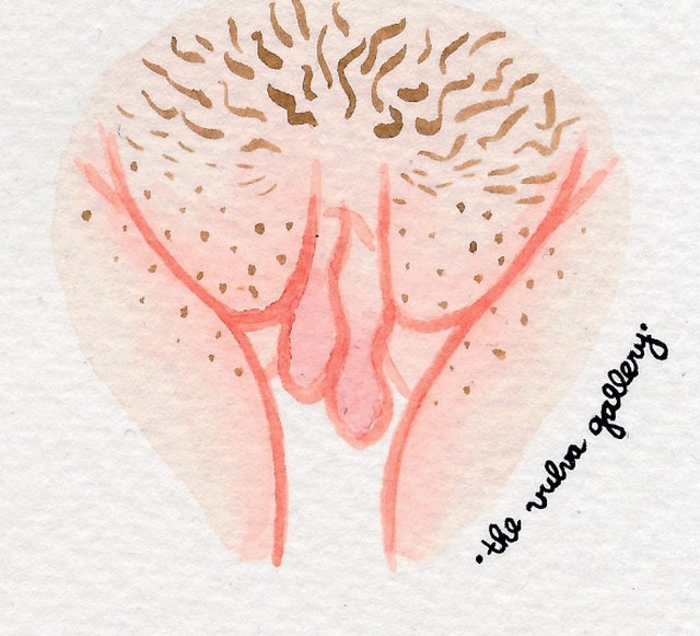 Ezen az Instagram oldalon, csak puncikról készült rajzok vannak, de nagyon fontos üzenete van