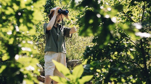 Jane Goodall kilencvenedik születésnapja magyar divatkollekciót ihletett