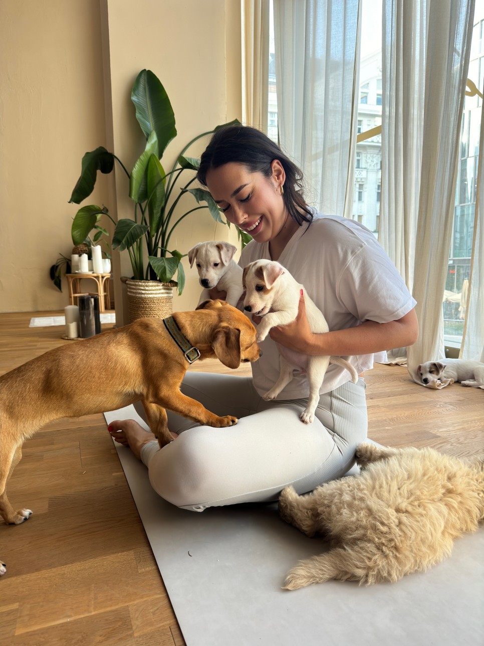 Tóth Vivien gyermekkora óta rajong a kutyákért, így csak idő kérdése volt, hogyan hozza össze a kellemest a hasznossal