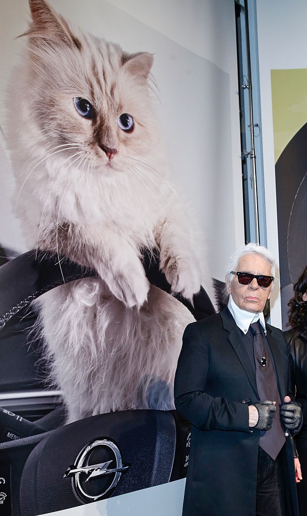 Karl Lagerfeld macskája, Choupette éppen Opelt reklámoz