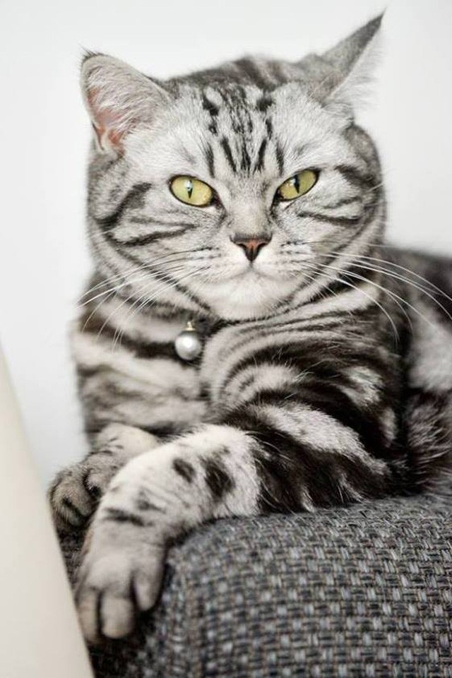 Adj vért te is! Erzsi for President melletted áll!