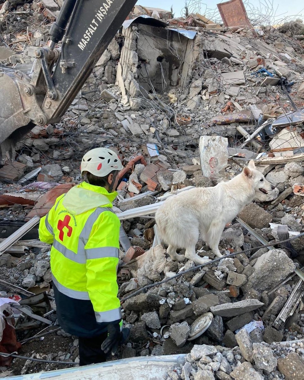 Demi tulajdonságai több szempontból is figyelemre méltók