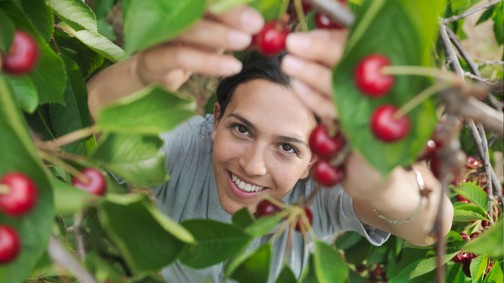 Ezeket a gyümölcsfákat ültesd a kertedbe, ha szeretnéd, hogy generációkon keresztül éljenek