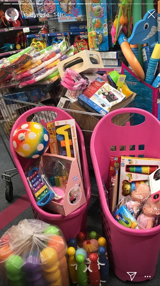 A hollywoodi színésznőnek elege lett, saját maga vásárolt be a magyar kórháznak