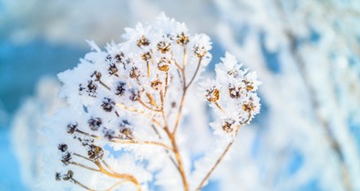 A klímaváltozás miatt még durvább fagyok lehetnek hazánkban is