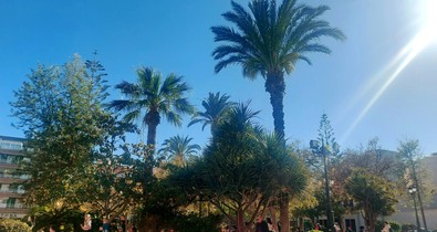 Fekete Judit: Néztük a tengert, az embereket, és leesett, hogy mit is csináltunk