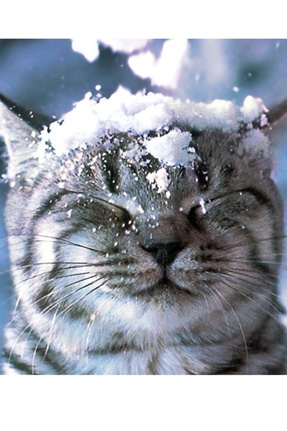 Újra téliesre fordul az idő! Havazásra és havas esőre kell számítani